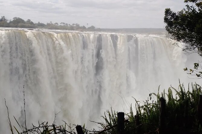 Guided Tour of the Falls - Families, mobility, and group size