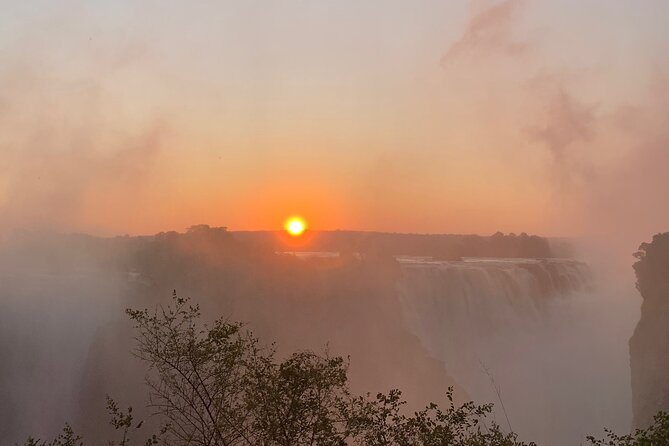 Guided Tour of the Falls Rainforest - Victoria Falls Rainforest in a Few Useful Hours