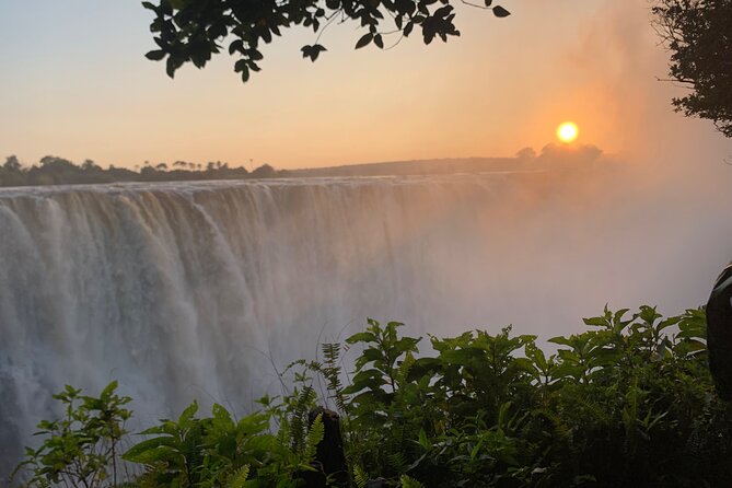 Guided Tour of the Falls Rainforest - What MacDonald Adds to the Visit