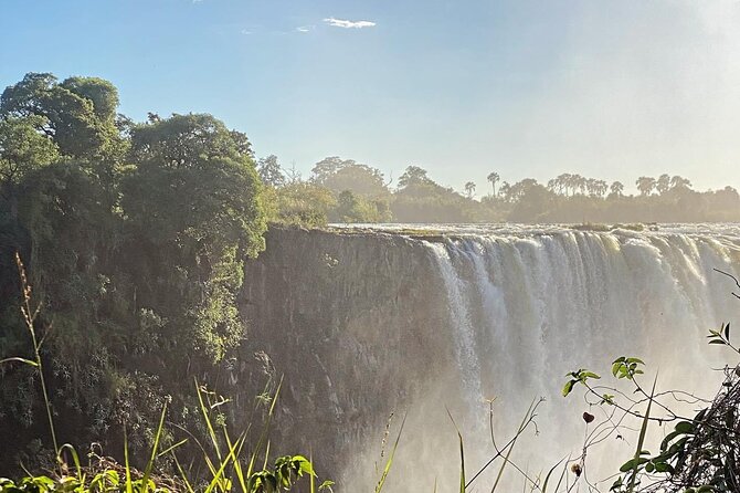 Guided Tour of the Falls Rainforest - Early Morning Light and Timing Choices