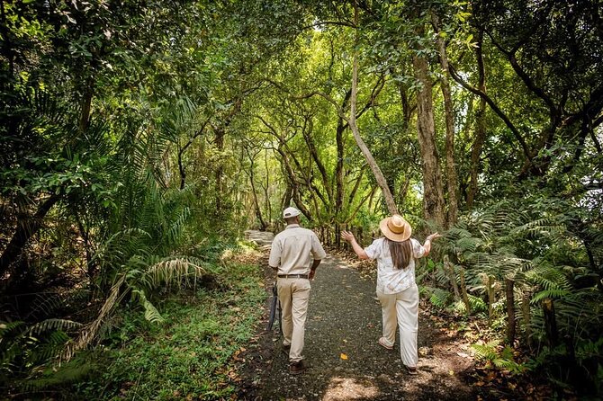 Guided Tour of the Falls Rainforest - Who Should Book This Falls Tour?