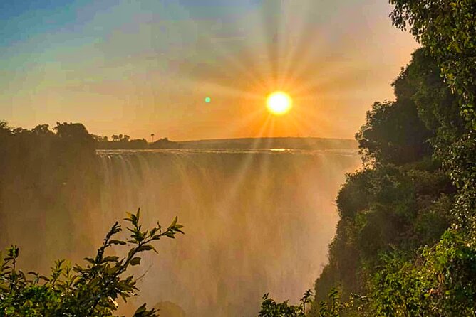 Guided Tour of the Falls Rainforest - Booking and Cancellation Details