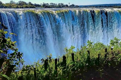 Guided Tour of the Falls (ZIM side) Wildlife Safari, by Savannah