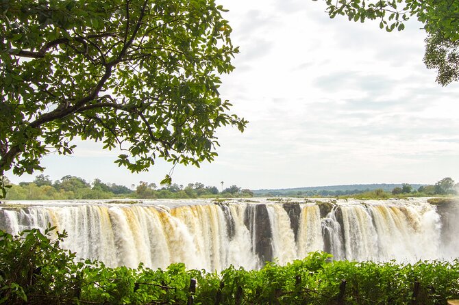 Guided Tour of the Falls (Zimbabwe side) - The waterfall viewpoints and rainforest paths