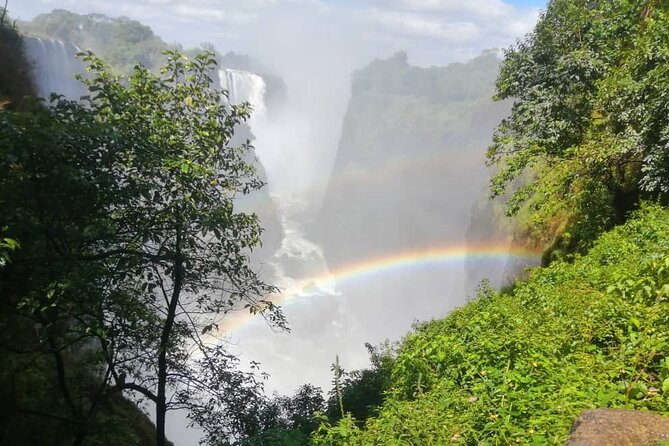 Guided Tour of the Falls (Zimbabwe side) - What Mr B adds to the experience
