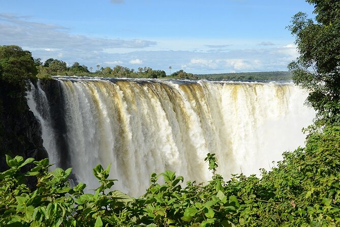 Guided Tour Of The Majestic Victoria Falls/Sunrise Tour - The Big Tree adds a useful second stop