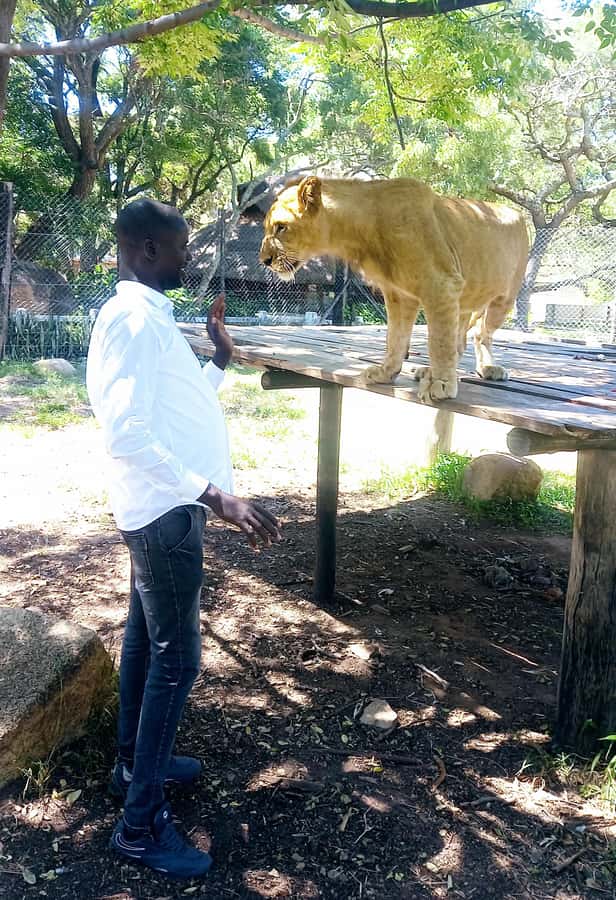 Harare: Half Day Outdoor Adventure - A practical Harare introduction in four to five hours