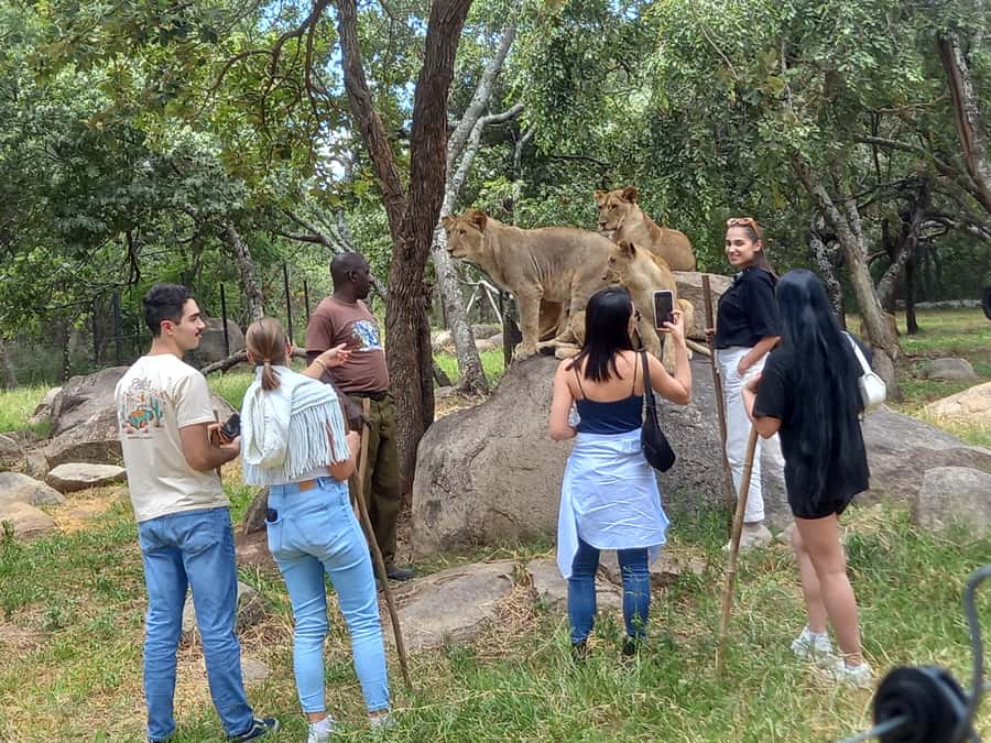 Harare: Half Day Outdoor Adventure - What the city drive gives you