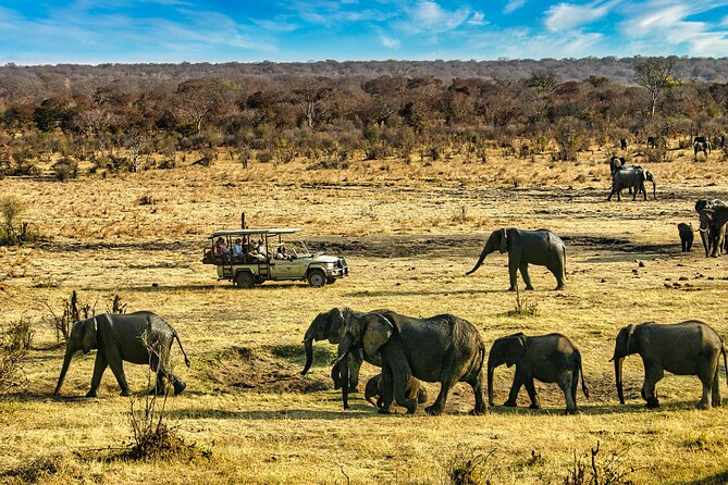 High Tea in the Savannah, Catering by Victoria Falls Hotel - Who will enjoy this most
