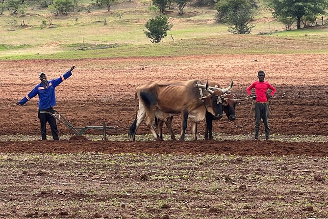 Horse Riding Community Village Tour Experience - Along the Batoka Gorge