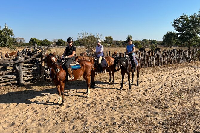 Horse Riding Community Village Tour Experience - What the guide adds to the morning