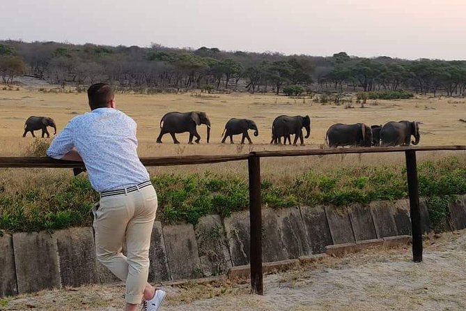 Hwange 3 day Safari - Why three days in Hwange makes sense