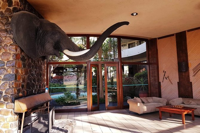Hwange 3 day Safari - Day 1: From Victoria Falls to the Hwange savannah