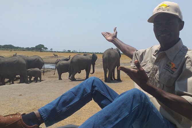 Hwange National Park Full Day Trip - Why Hwange works as a day trip from Victoria Falls