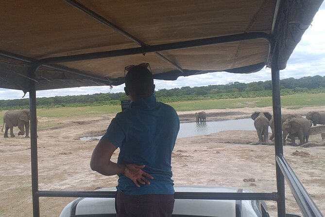 Hwange National Park Full Day Trip - The afternoon drive and Hwange’s waterholes