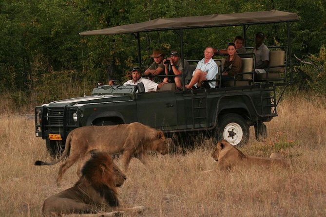 Hwange (Safari) Day Trip from Victoria Falls - Entering Hwange National Park by open-air vehicle