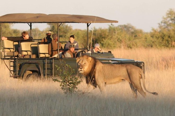 Hwange (Safari) Day Trip from Victoria Falls - The 6:00am departure from Victoria Falls