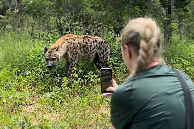 Lion & Wildlife Sanctuary Excursion Victoria Falls - Key points to know before booking