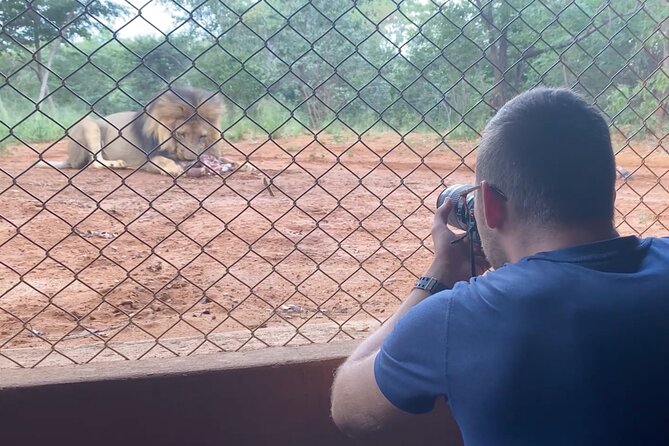 Lion & Wildlife Sanctuary Excursion Victoria Falls - Practical details that affect your choice