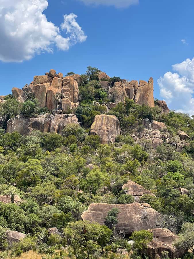 Matobo Hills Day Trip with Rhino Tracking - What the guide adds to the experience