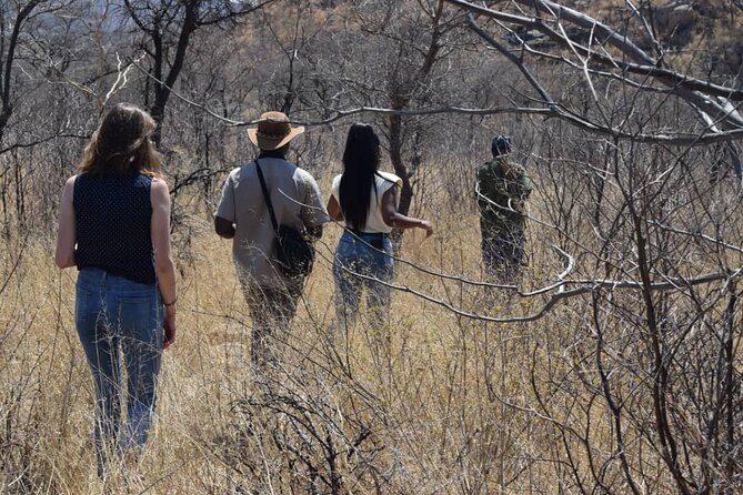 Matobo Rhino Encounter - Walking toward Matobo’s white rhinos
