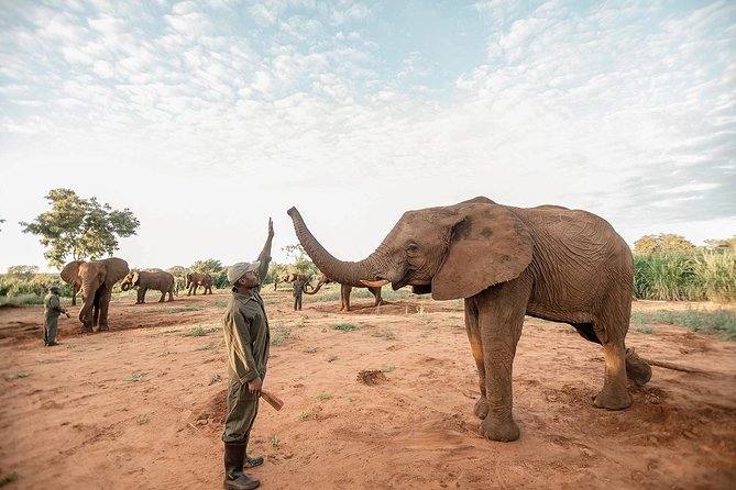Moments with Elephants - Is $180 a fair price for one hour?
