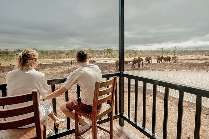 Moments with Elephants - Who will enjoy this encounter most?