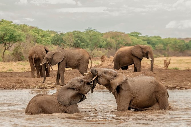 Moments with Elephants - The waterhole brings a more natural rhythm