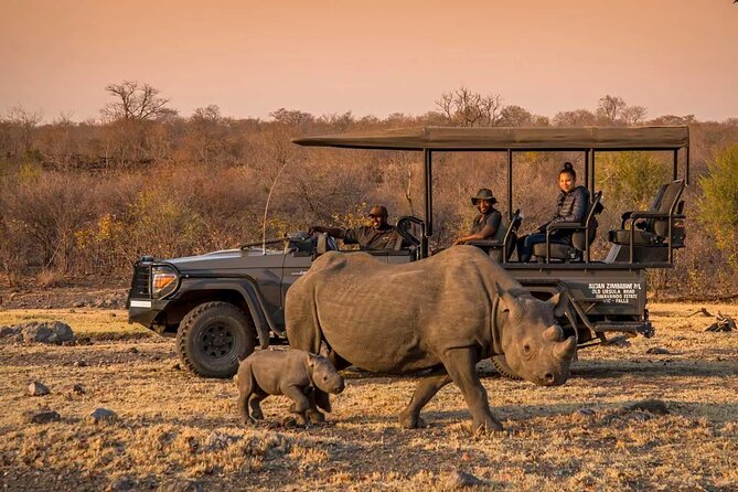 Morning or Afternoon Game Drive In Victoria Falls - Key points to know before booking