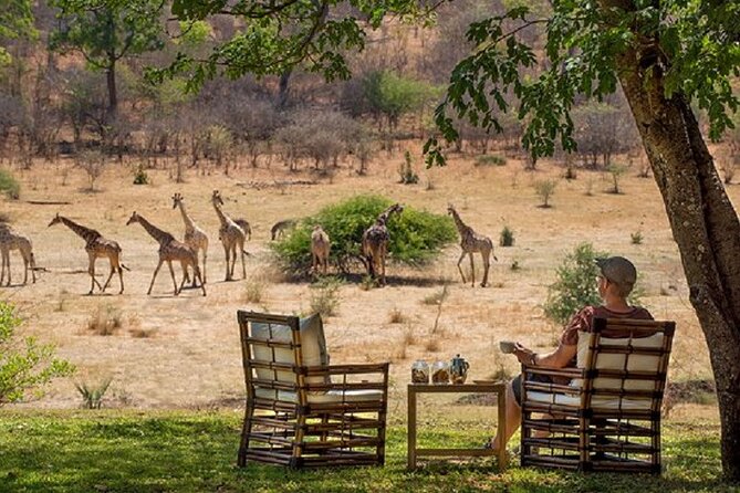 Morning or Afternoon Game Drive In Victoria Falls - What happens on the three-hour game drive