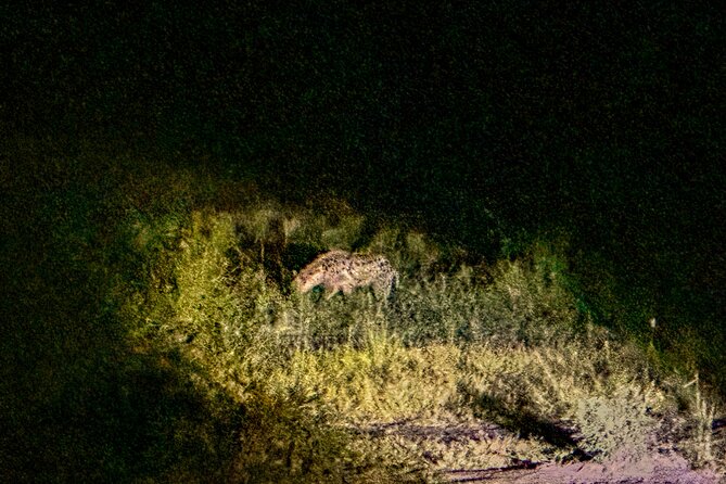Night Game Drive in Zambezi National Park and Victoria Falls - Dinner at the Ele-crew facility