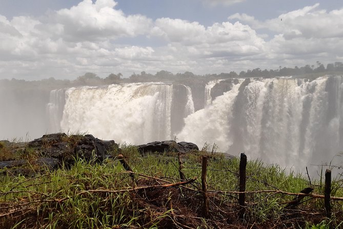 Private Guided Tour of the Falls with Pickup - What the guide adds beyond the view