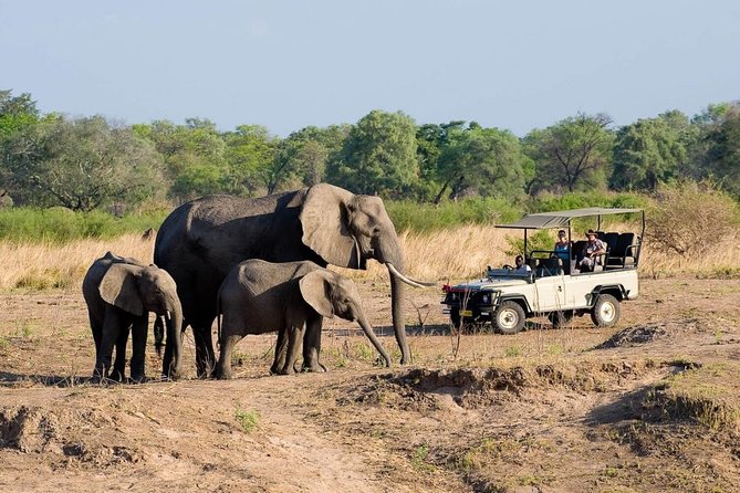 Safari Game Drive in Zambezi National Park with Hotel Pickup - Entering Zambezi National Park