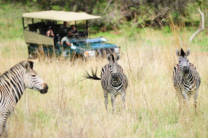 Safari Game Drive in Zambezi National Park with Hotel Pickup - How the Small Group Affects the Day