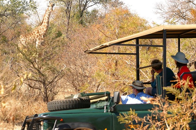 Safari Game Drive in Zambezi National Park with Hotel Pickup - Booking, Cancellation, and Small Practical Details