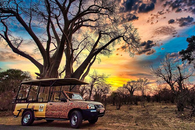 Safari in Victoria Falls and Zambezi National Park - Why this safari feels different from a quick wildlife outing