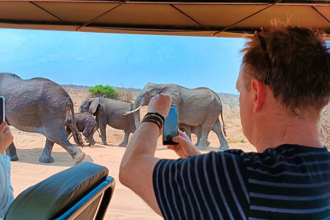 Safari in Victoria Falls and Zambezi National Park - Searching Zambezi National Park and Chamabondo