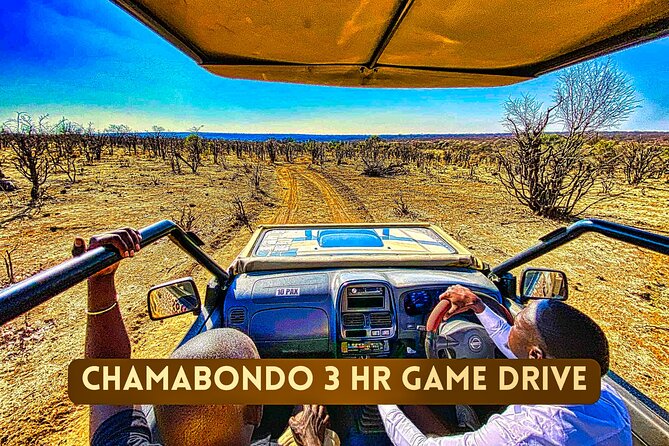 Safari in Victoria Falls and Zambezi National Park - What you may see, and what you may not