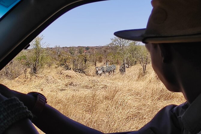 Safari in Victoria Falls and Zambezi National Park - Morning, mid-morning, or afternoon departure