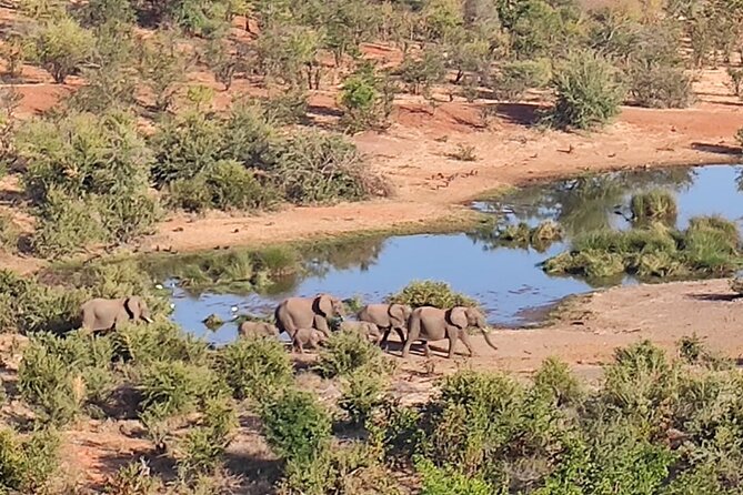 Safari in Victoria Falls and Zambezi National Park - Is $119 a fair price?