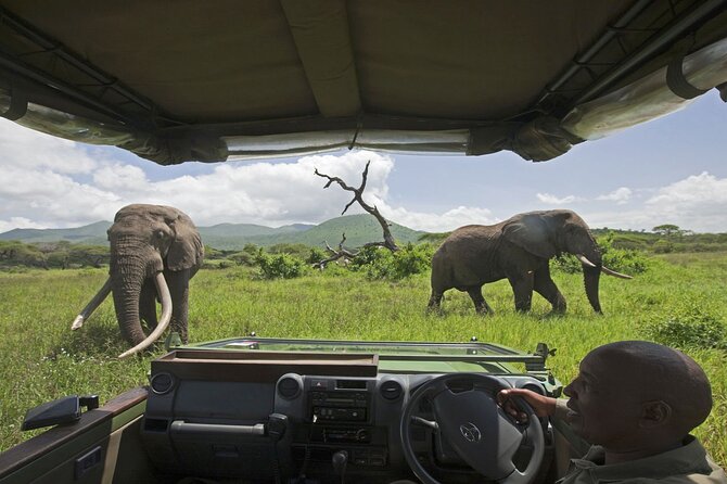 Small Group: Zambezi National Park Guided Game Drive - Is $120 a fair price?