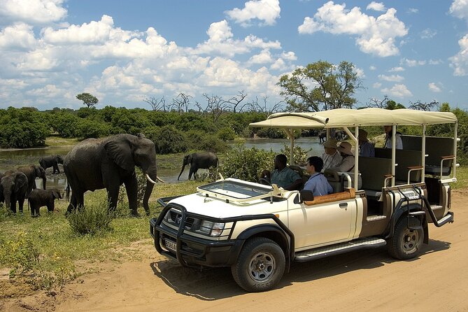 Small Group: Zambezi National Park Guided Game Drive - Who will get the most from this safari