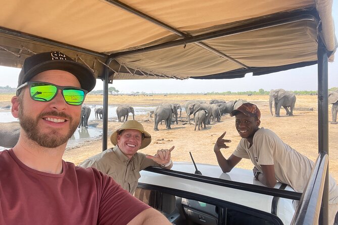 Small Group: Zambezi National Park Guided Game Drive - What the open 4x4 changes