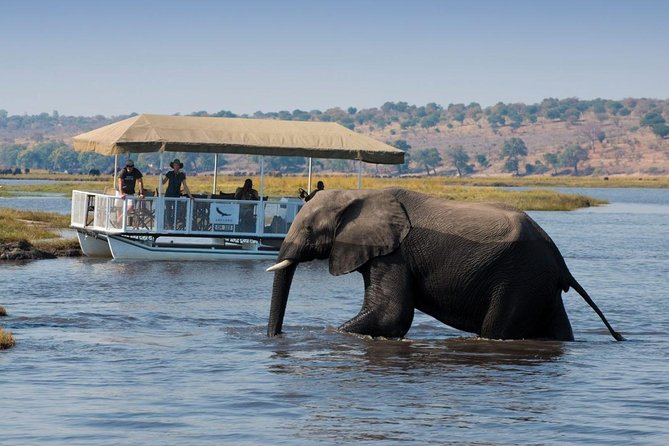 Standard Sunset Cruise - A Two-Hour Safari on the Zambezi
