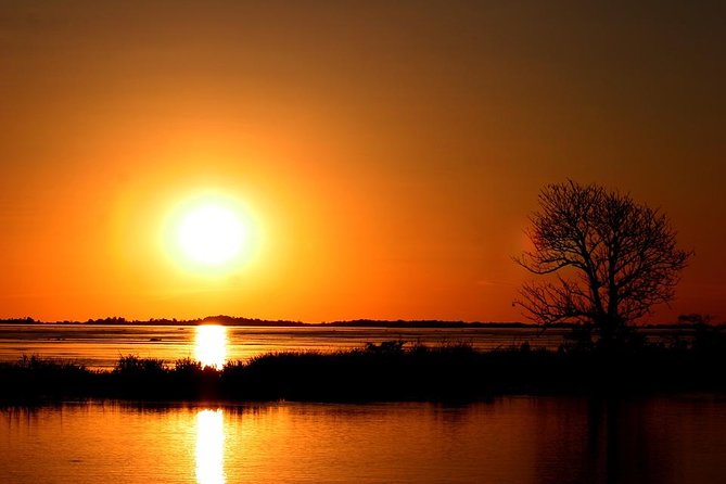 Standard Sunset Cruise - Wildlife Along the Riverbanks