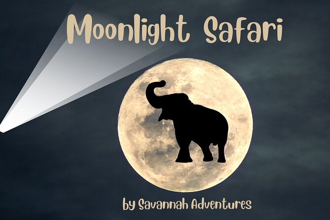 Stargazing and Moonlight Experience - Victoria Falls after dark, at 7 pm