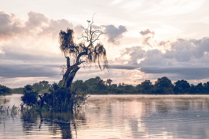 Sunrise Cruise on the Zambezi River - How the group size affects the mood