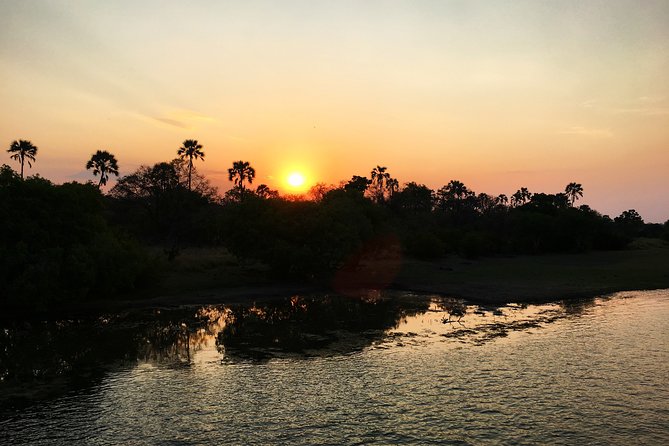 Sunset Cruise Wildlife Watching Experience at Zambezi River - Wildlife sightings from hippos to elephants