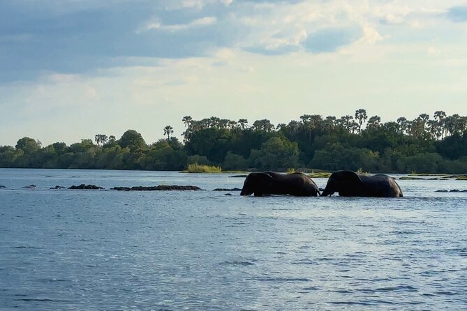 Sunset Cruises on the Zambezi River from Victoria Falls - Drinks, snacks, and the value of $49