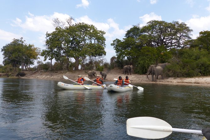 Upper Zambezi Canoeing - A quiet start on the Upper Zambezi